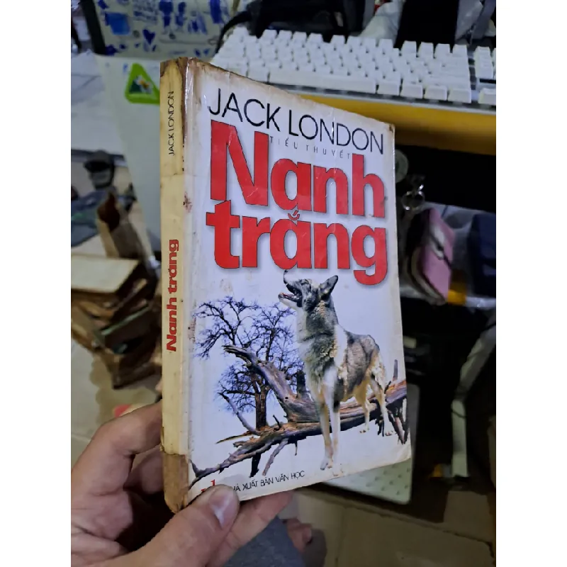 [Sách Cũ SCGR] Nanh trắng Jack London tiểu thuyết 2002 mới 80% ố nhẹ Văn học nước ngoài HCM1709 680056