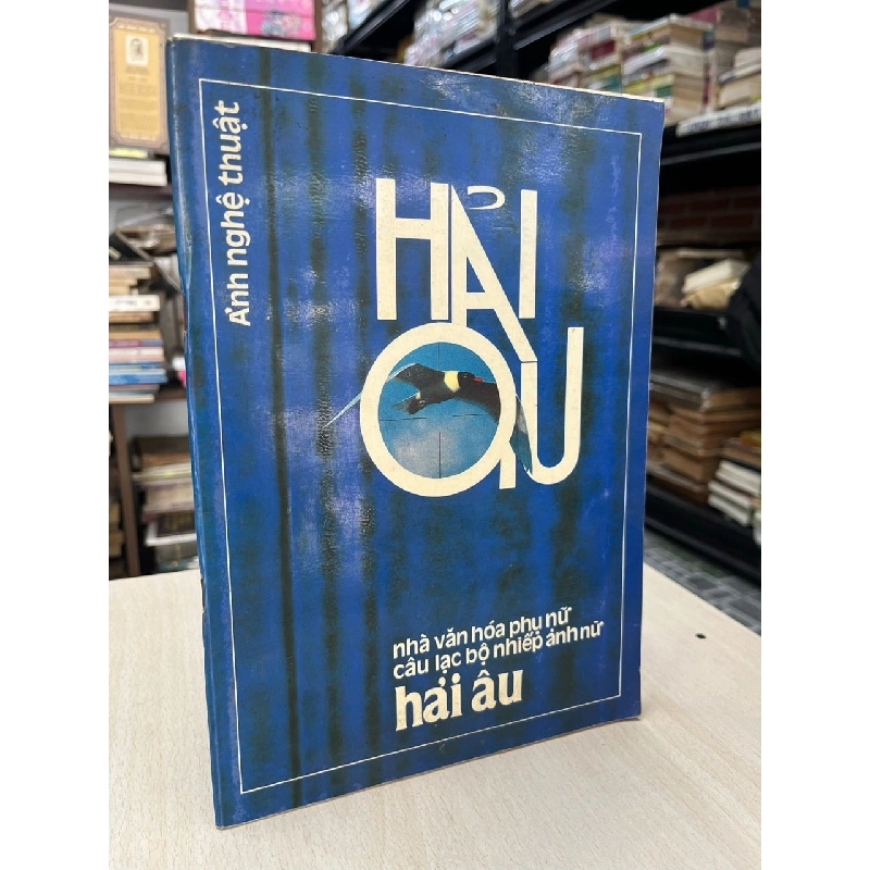 Ảnh nghệ thuật: Hải Âu 797344