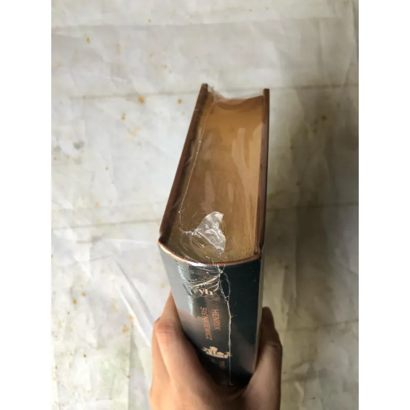 Trên Sa Mạc Và Trong Rừng Thẳm - Henryk Sienkiewicz 733703