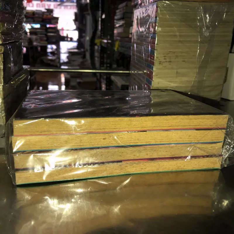 Cậu bé pháp sư Domitor Leo - Michie Kushima 1027317