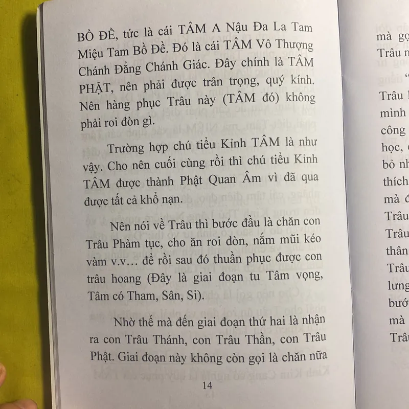 Con Trâu và Cái Tâm (Bí Lục Theo Trâu) - HT Đắc Huyền - Thích Như Phước Tú 630515