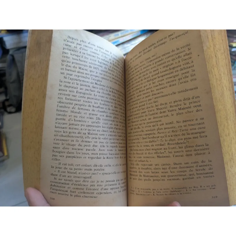 L'Allée du Roi - Françoise Chandernagor 689194