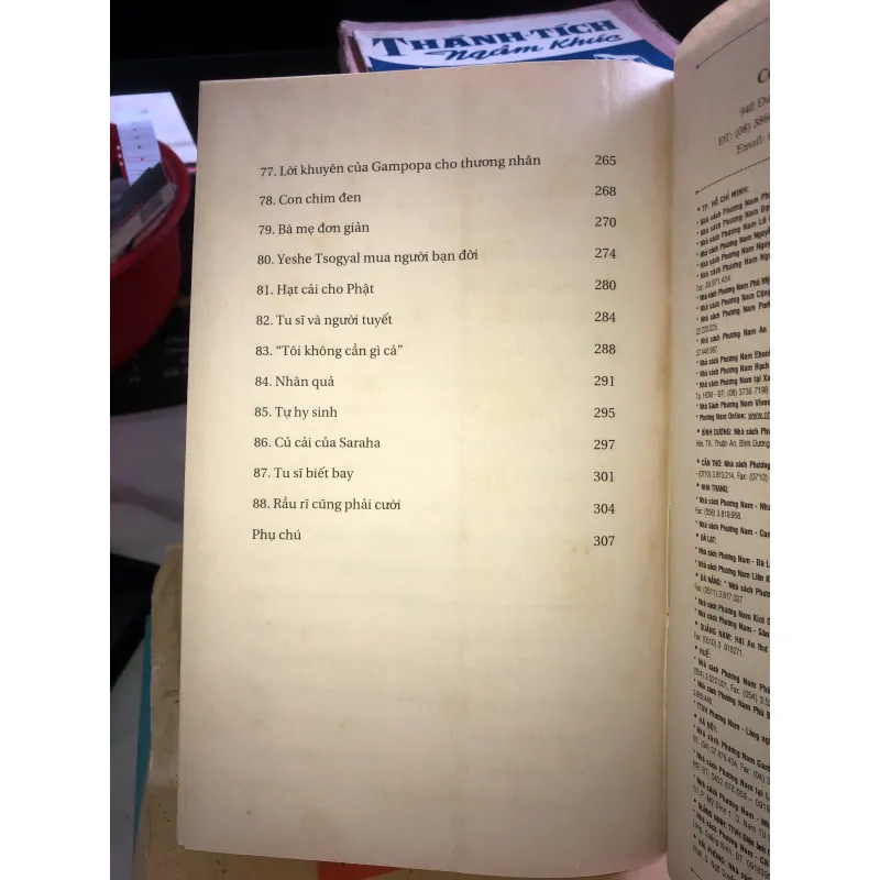 Sư tử tuyết bờm xanh - Surya Das 1021747