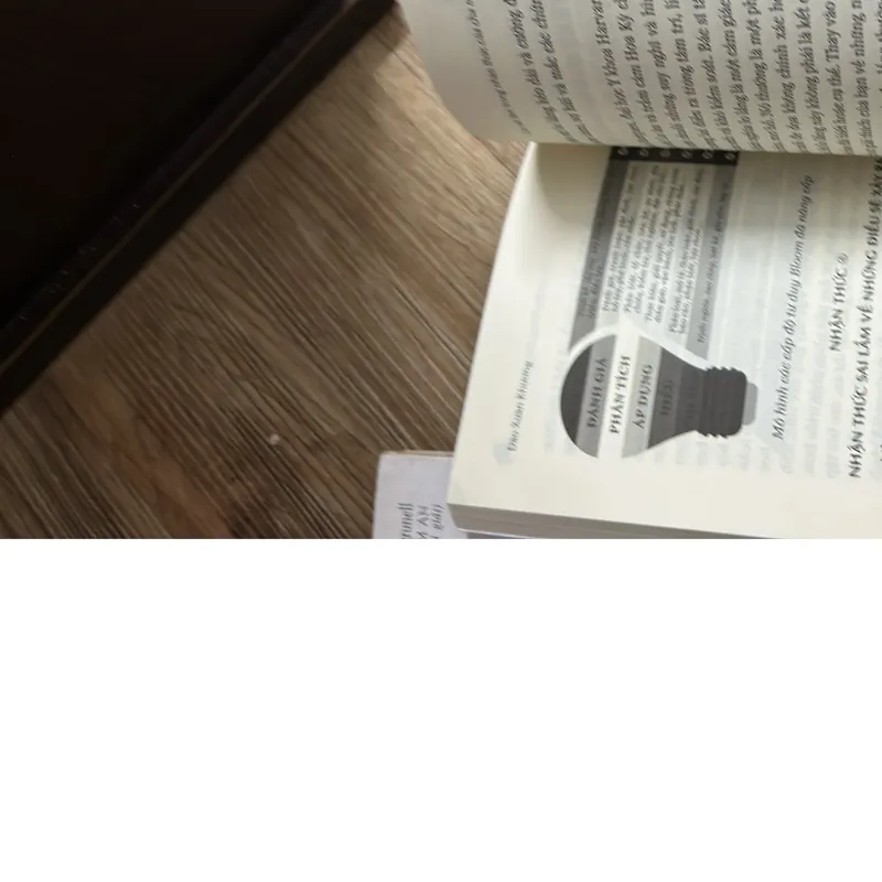 Con đường du học Mỹ và học bổng 568762