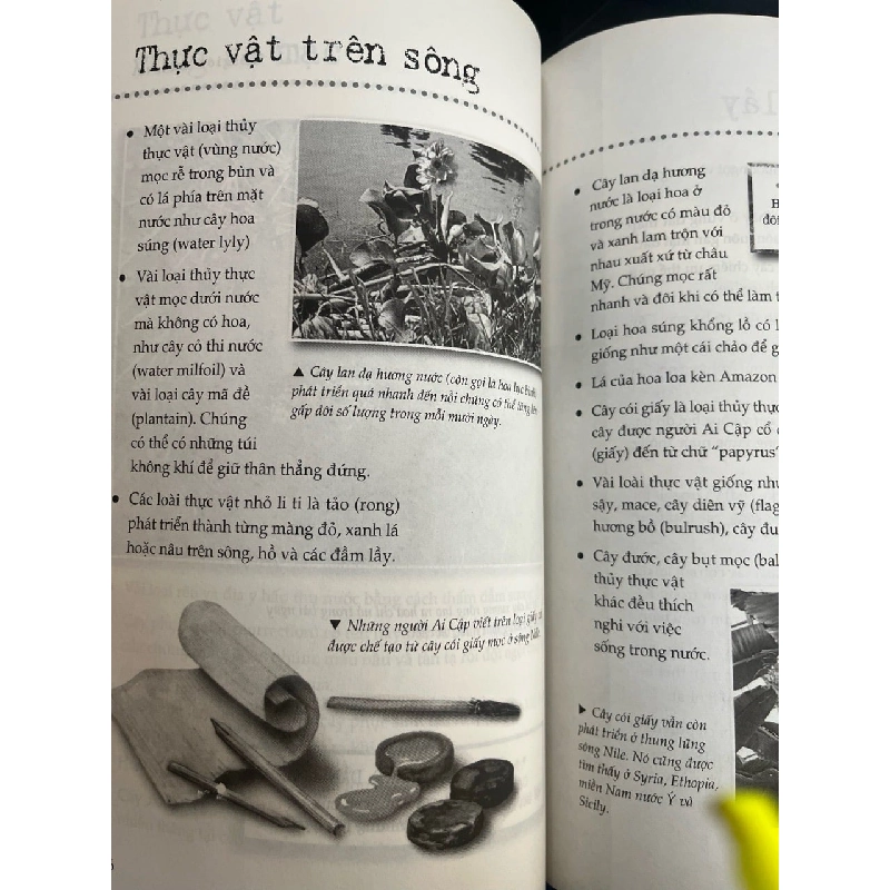 Thế giới thực vật - Minh Thành 932446