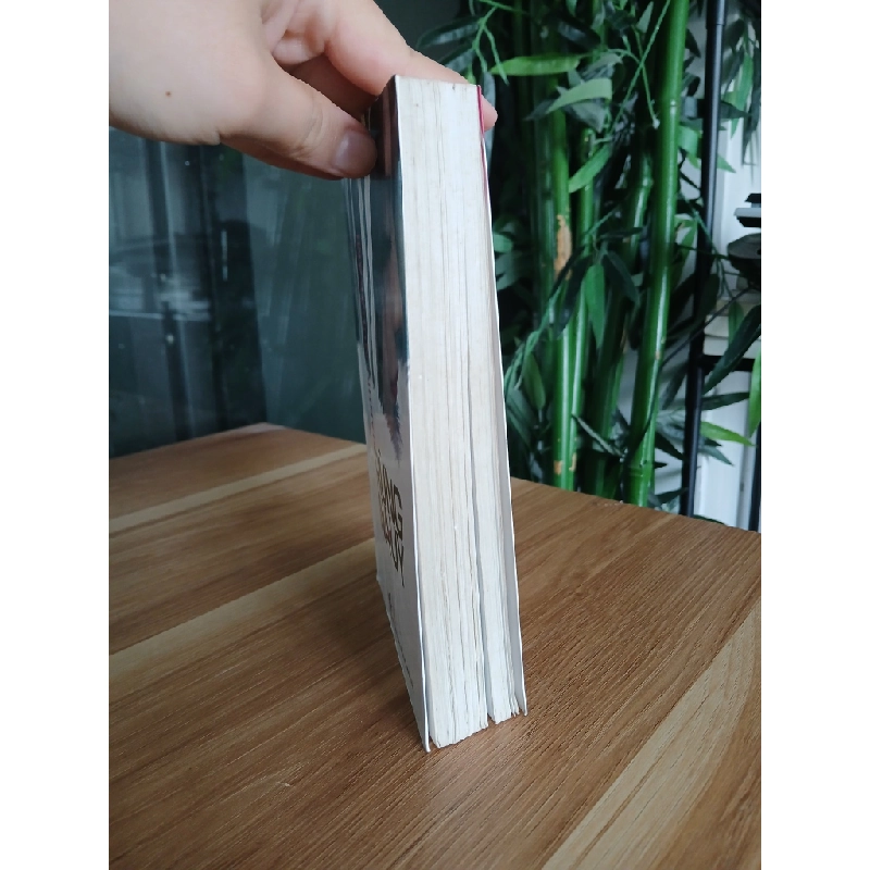 Rừng Na-uy 550558