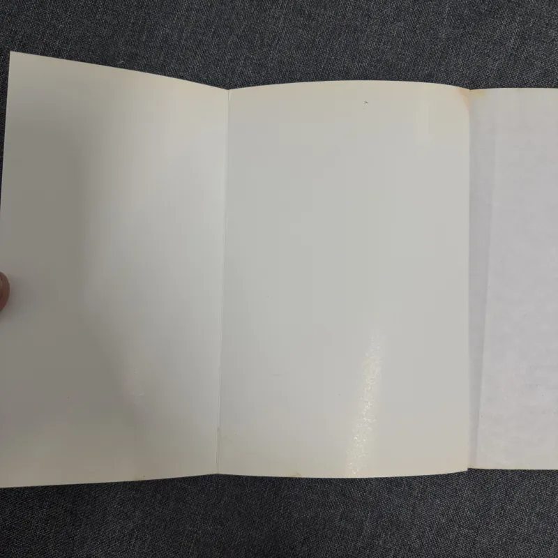 Cánh đồng bất tận - Nguyễn Ngọc Tư 931269