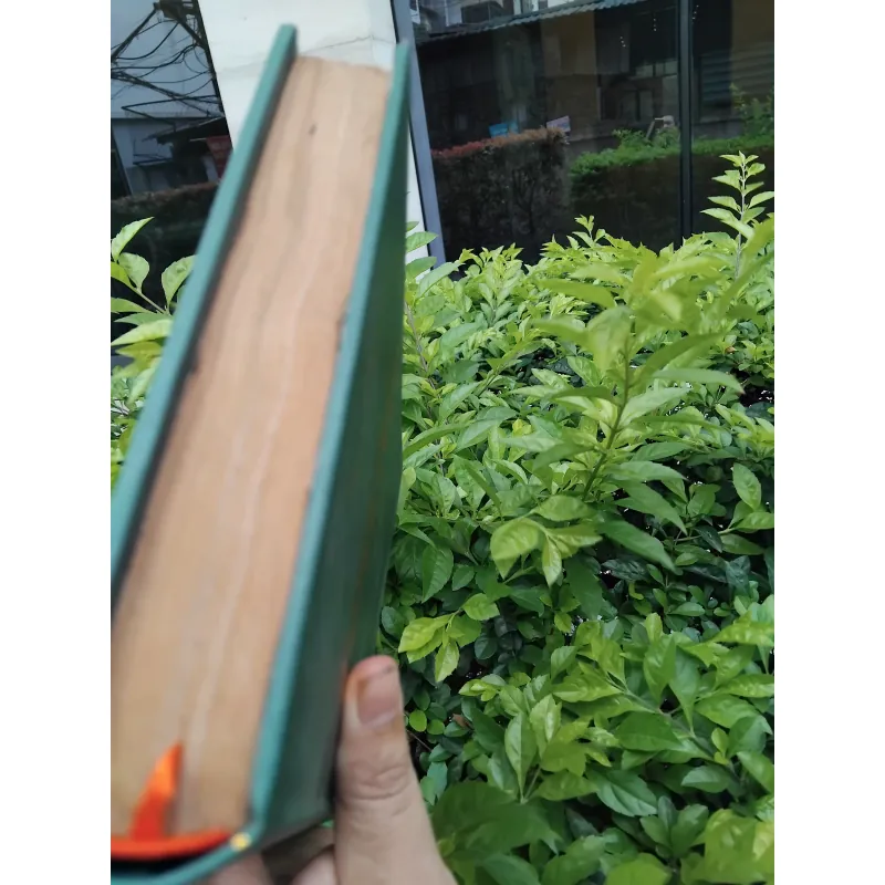 Mấy người con trai Vương Ling của Pearl Puck 970860