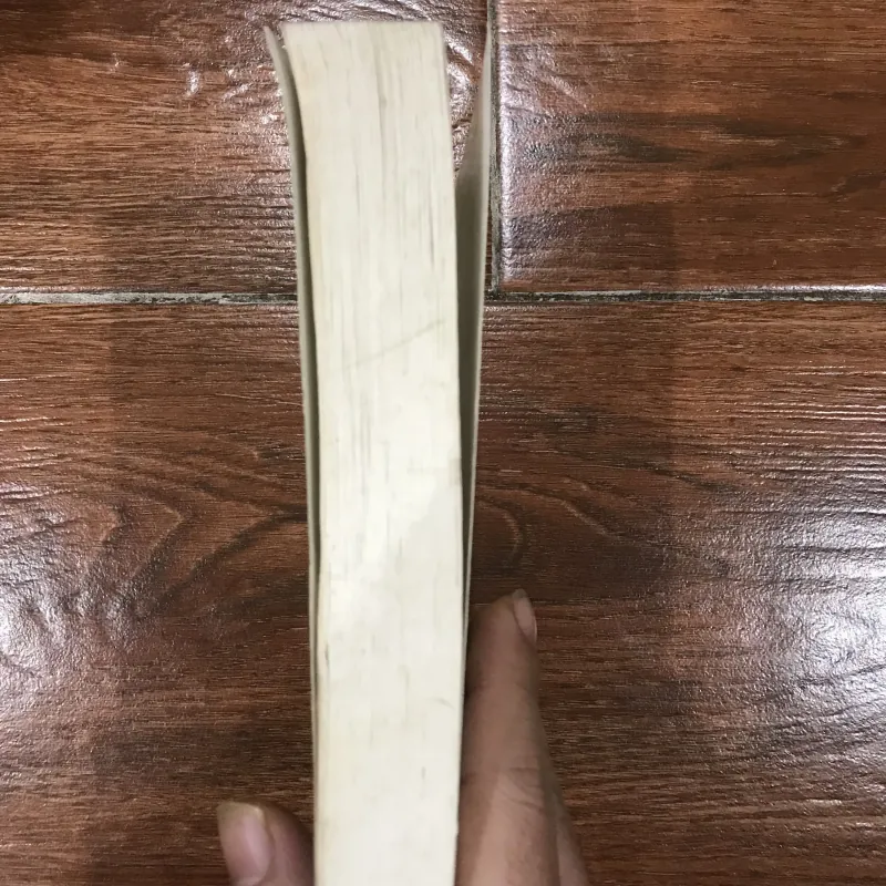 Thử xét Văn hoá, văn học bằng ngôn ngữ học - Phan Ngọc (6) 761148