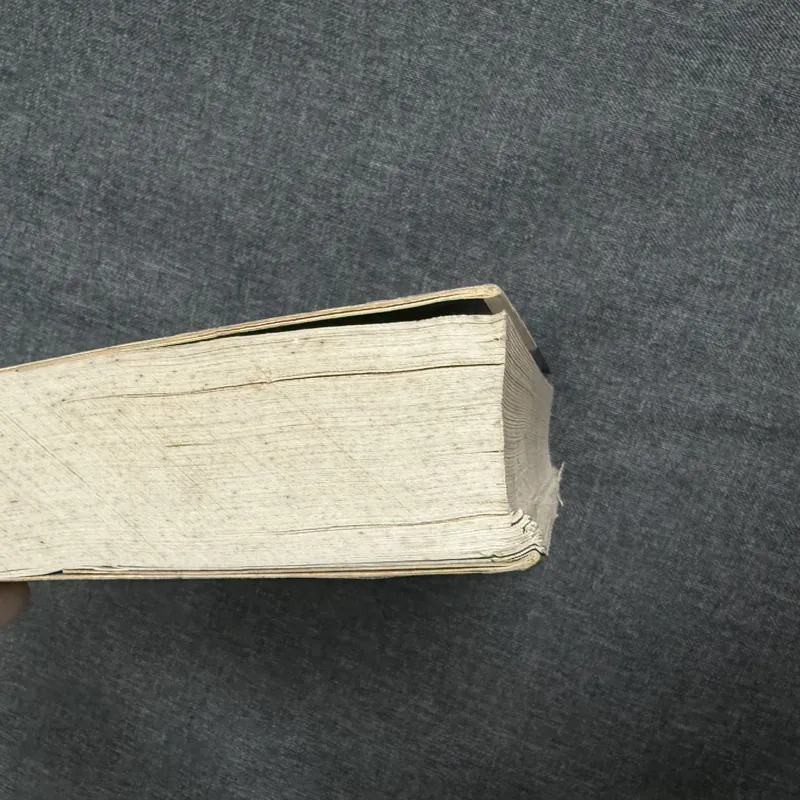 Sách Đệ nhất phu nhân Trần Lệ Xuân - Hoàng Trọng Miên 739106