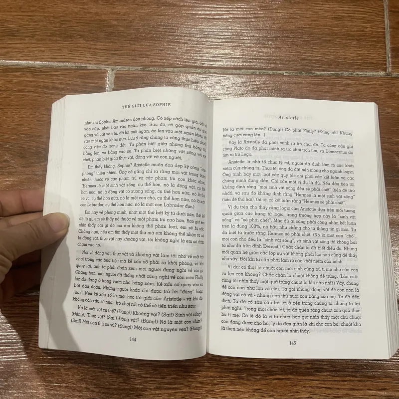 Thế giới của Shophie - Jostein Gaarder (8) 1000155