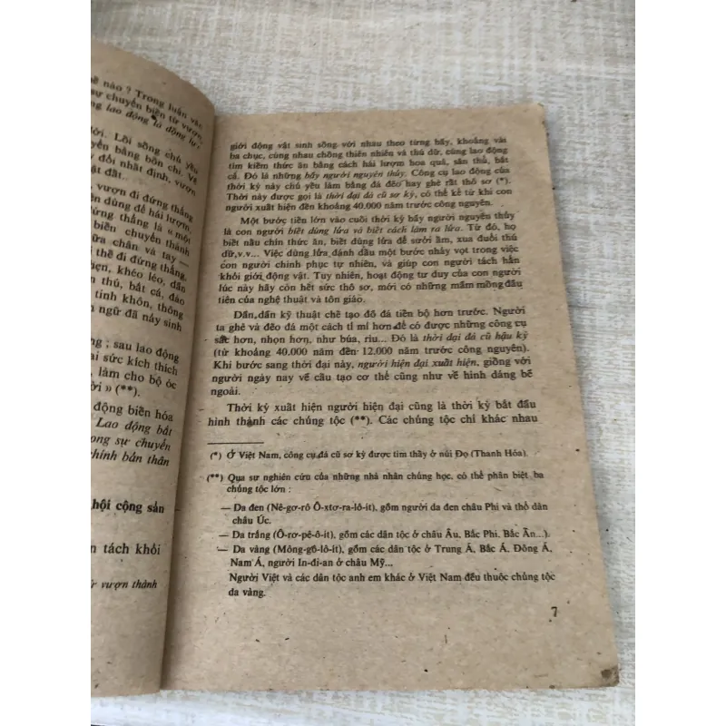 Lịch sử thế giới  995224