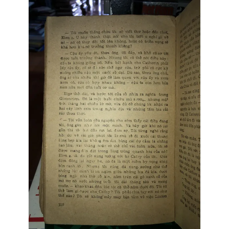 Đồi gió hú - Emily Bronti 785880