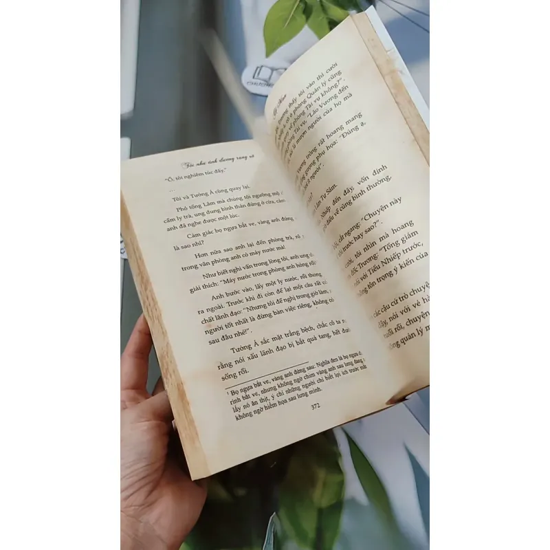 Tôi Như Ánh Dương Rạng Rỡ - Cố Mạn 744697