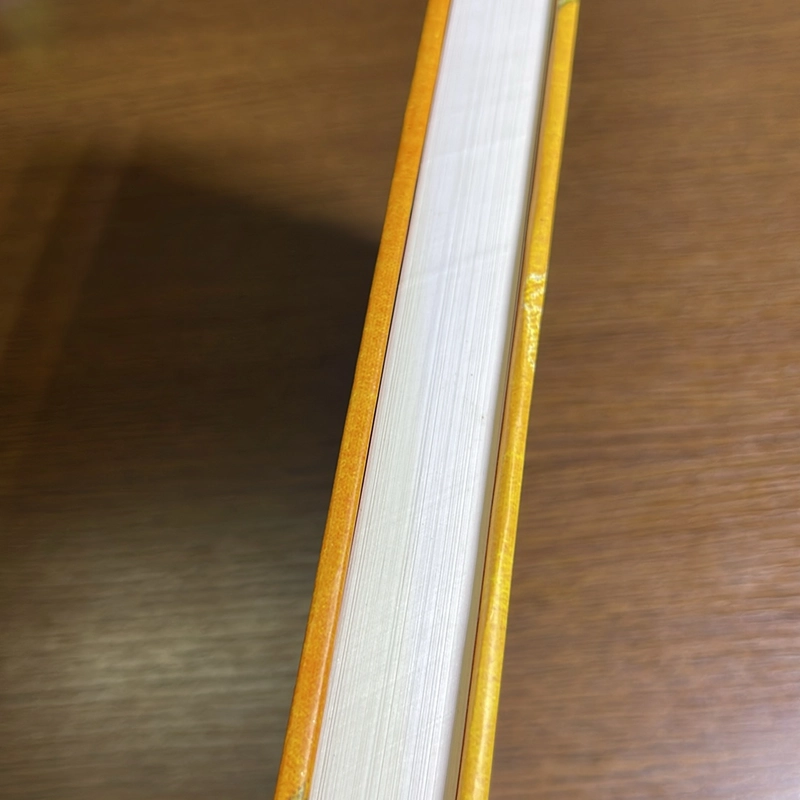 Truyện Kiều Nguyễn Du 504681