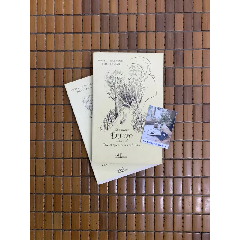 Chó hoang Dingo Ruvim Ixaevich Phraerman 455240