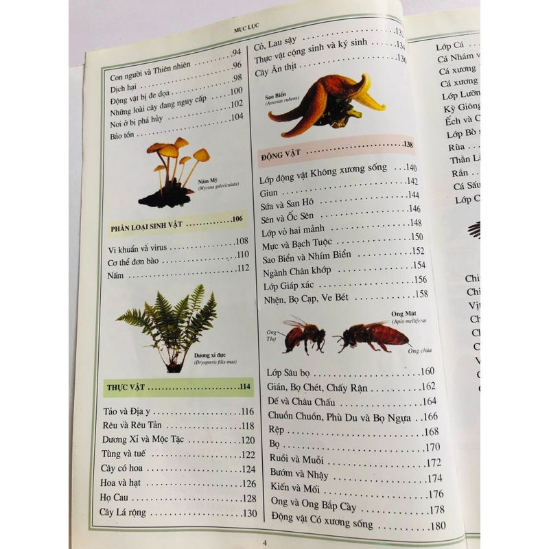 📚 BÁCH KHOA THƯ THẾ GIỚI TỰ NHIÊN 479463
