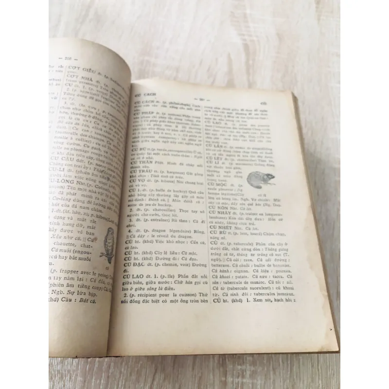 VIỆT NAM TÂN TỰ ĐIỂN 1966 995118