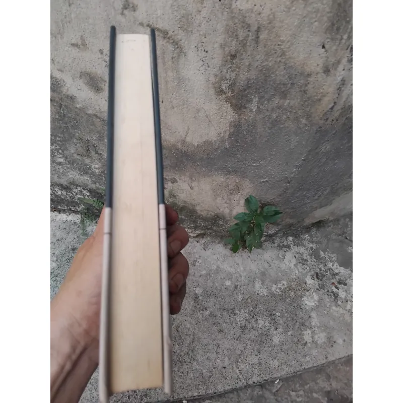 Chủ nghĩa Marx và triết học ngôn ngữ của Voloshinov 1003427