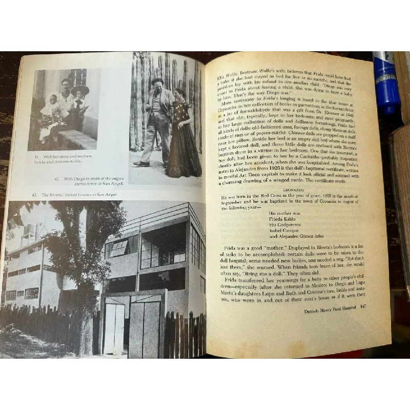 Frida - Hayden Herrera 597204