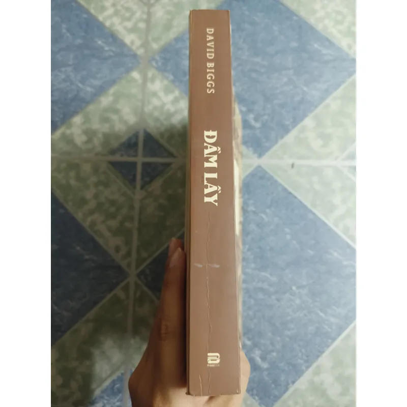 Đầm lầy - David Biggs 564835