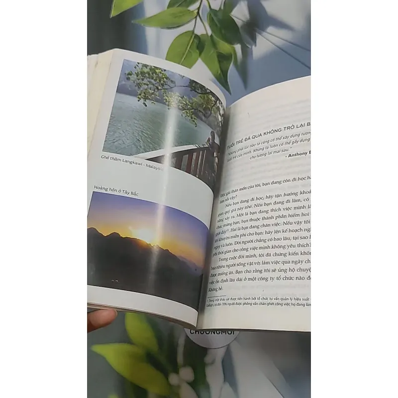 Tuổi trẻ đáng giá bao nhiêu - Rosie Nguyễn 688538