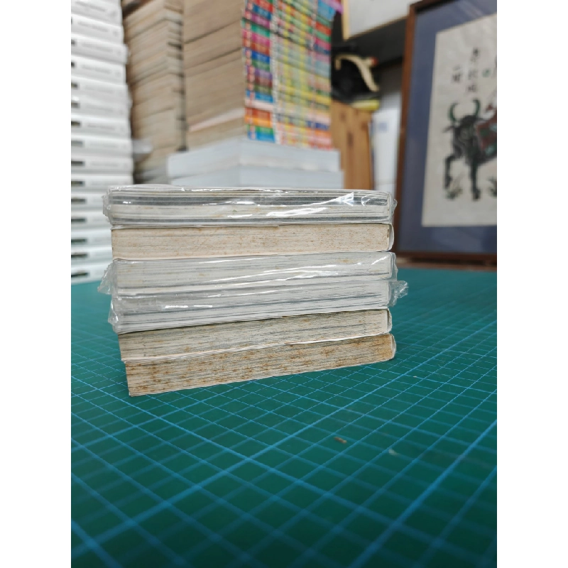 TRUYỆN TRANH Cỏ Phụ Tử - Mi Tagawa 143372