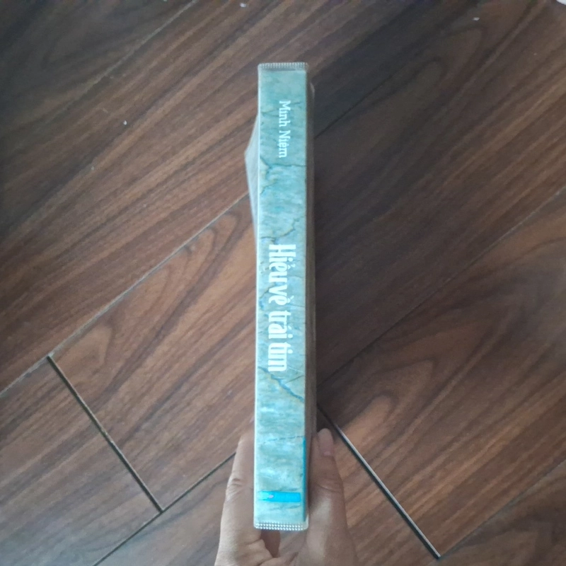 Hiểu về trái tin 552434