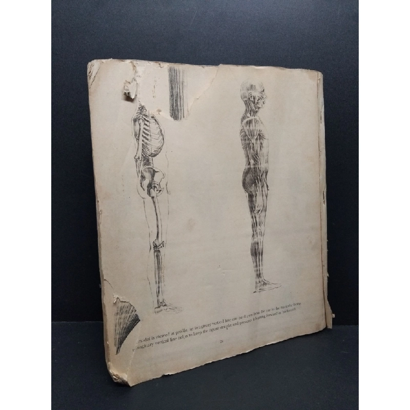 [Phiên Chợ Sách Cũ] Drawing schoolrách sách 2303 425901