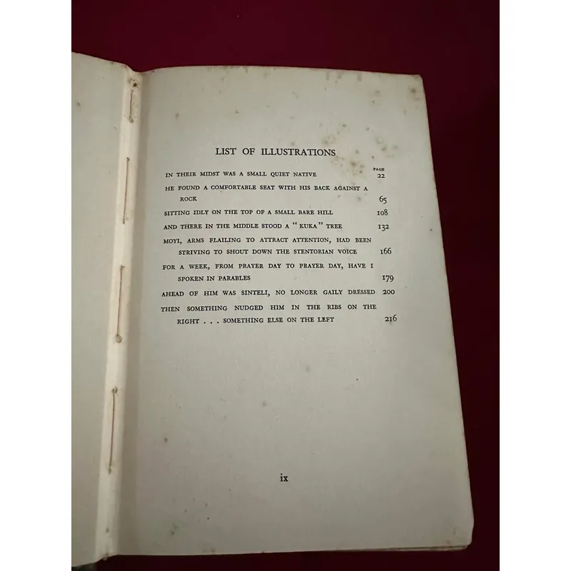 Sách ngoại văn tiếng Anh - Flag of the desert 713370