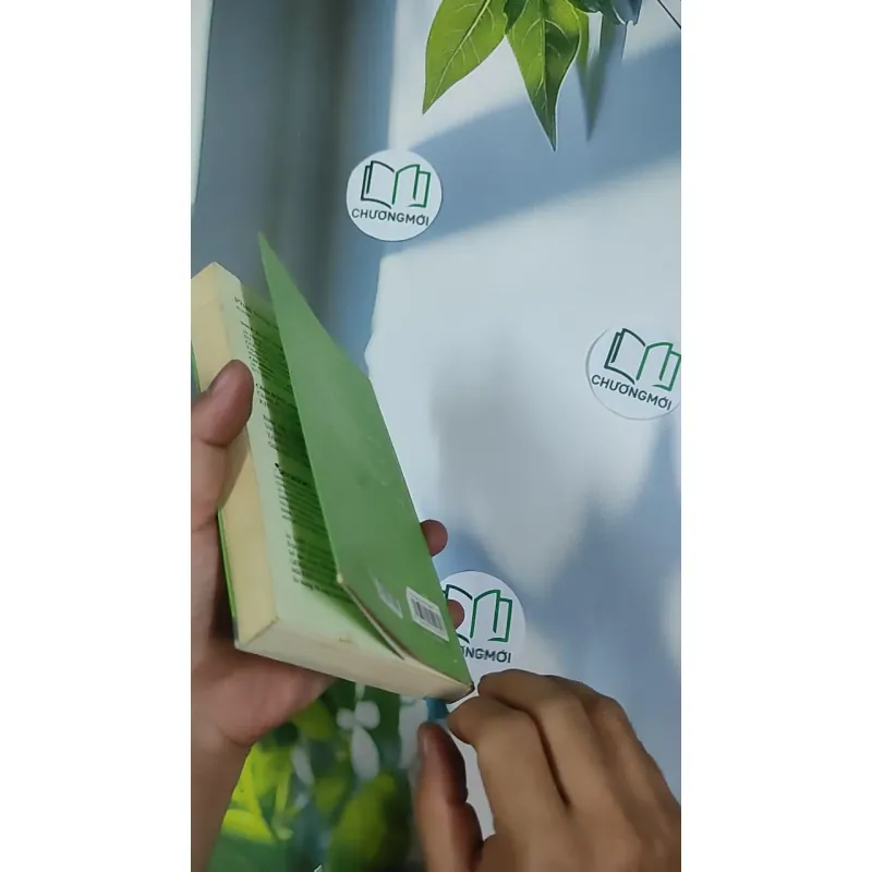 Phải lòng với cô đơn - Kulzsc 798499