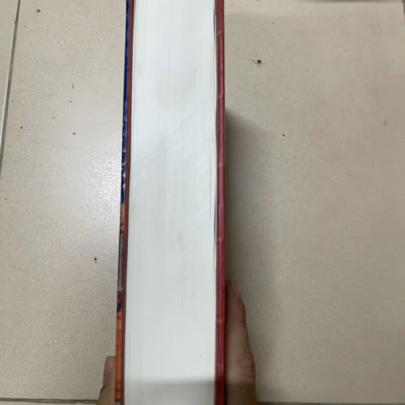 Sự giàu và nghèo của các dân tộc (c) 1022043