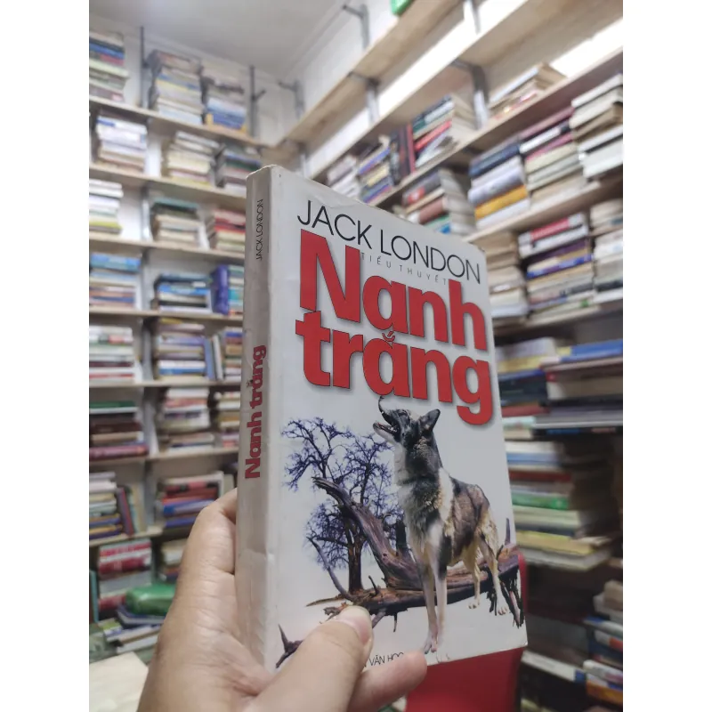 Sách: Nanh Trắng (Tiểu thuyết) - Jack London (A2) 577472