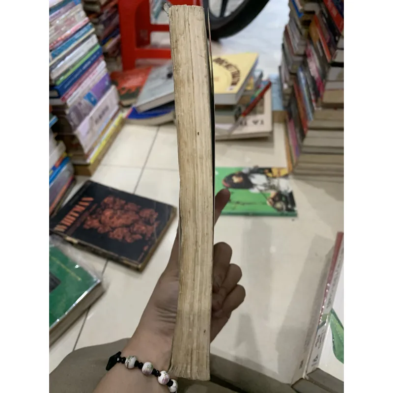 Tiểu luận phê bình- Cánh bướm và đoá hướng dương  714444