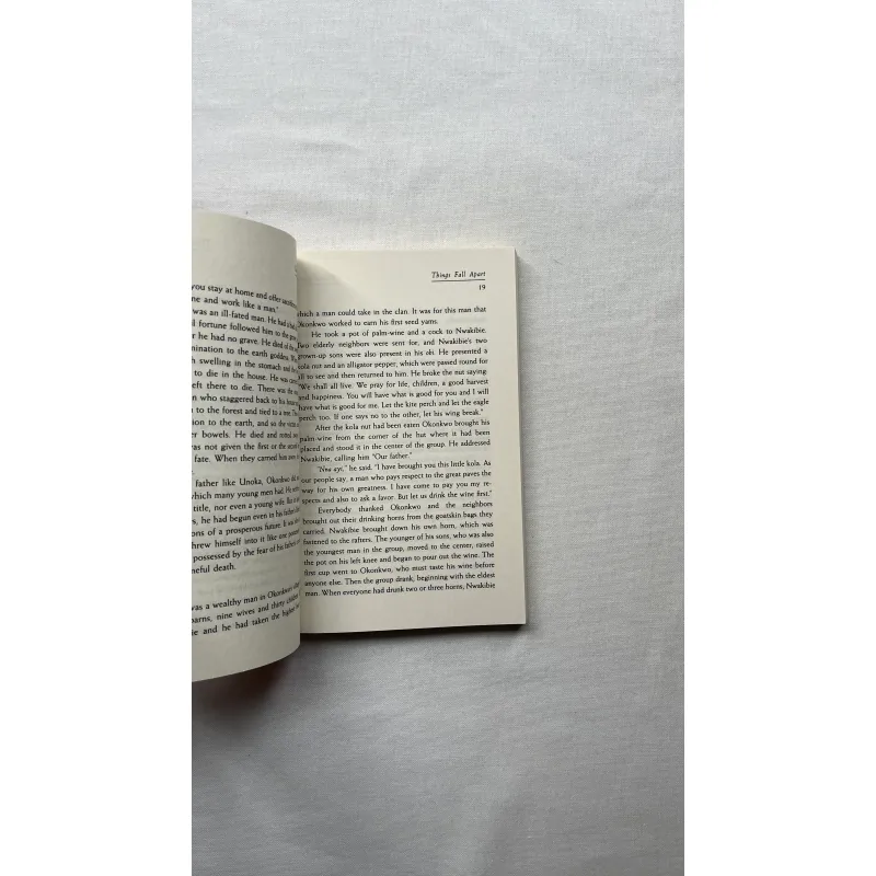 Things Fall Apart - Chinua Achebe  970684