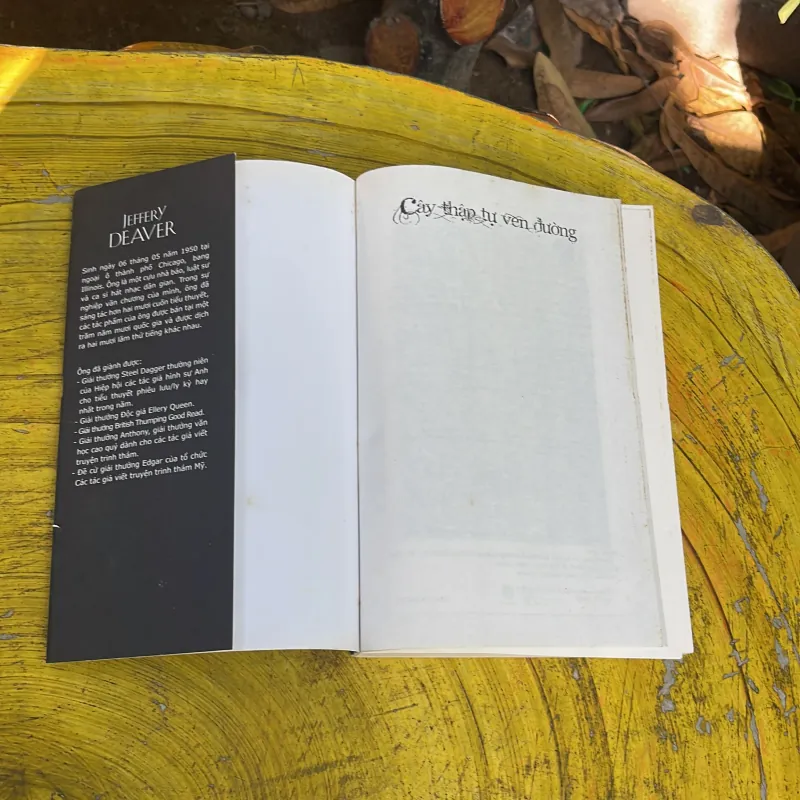 COMBO JEFFEREY DEAVER: CÂY THẬP TỰ VEN ĐƯỜNG & BÚP BÊ ĐANG NGỦ 748879