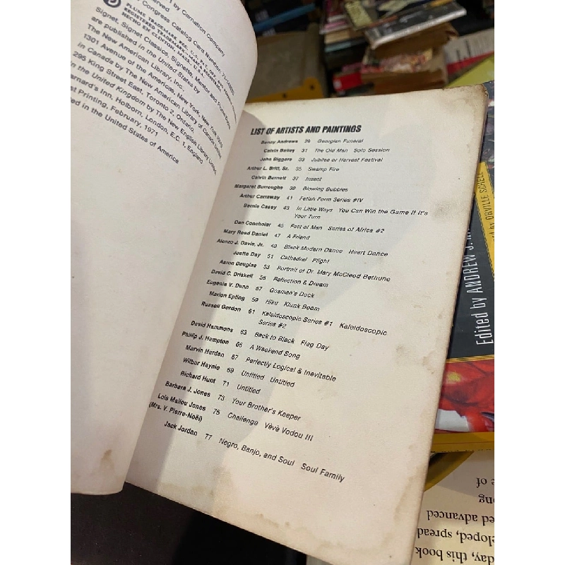 Black Dimensions in Contemporary American Art 1022830