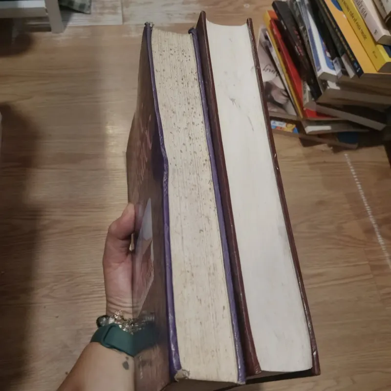 Lịch sử văn học Trung Quốc (tập 1 và tập 2) 1037367