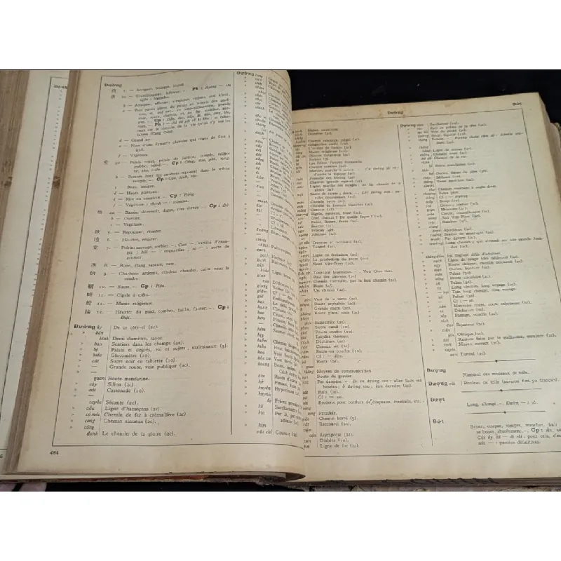 Dictionnaire vietnamien chinoiis francaise -Eugène 719146