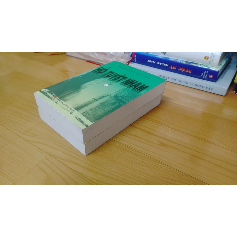 HỒ TUYẾT NHAM 697797