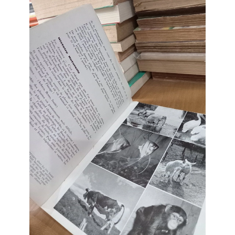 La photo des jeunes et a l'ecole - Jean Arestein 1020609