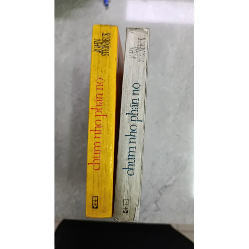 CHÙM NHO PHẪN NỘ - DỊCH: PHẠM THỦY BA 606227