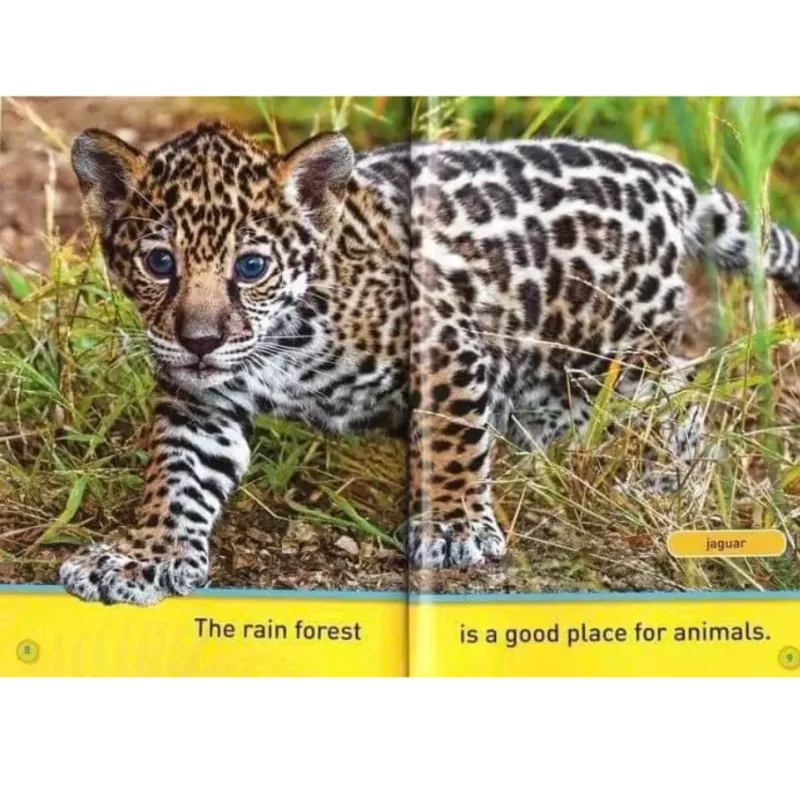 National Geographic kids - Level pre reader 30 cuốn giấy bóng đẹp tặng Audio 1000806