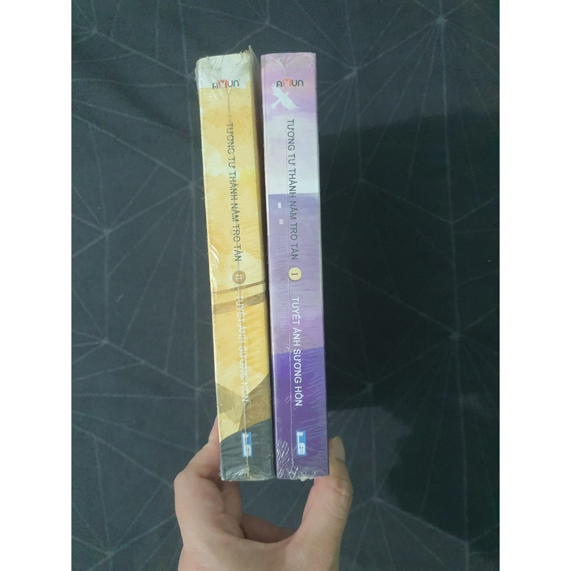 Combo "Tương tư thành nắm tro tàn" (seal) - Tuyết Ảnh Sương Hồn 492901