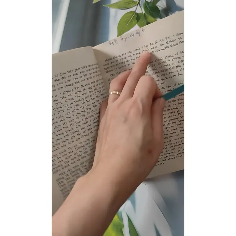 Lịch Sử Văn Minh Thế Giới - Vũ Dương Ninh 727278