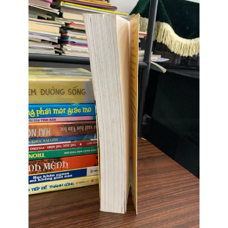 Bảo vật giang hồ – Tô Tố 576009