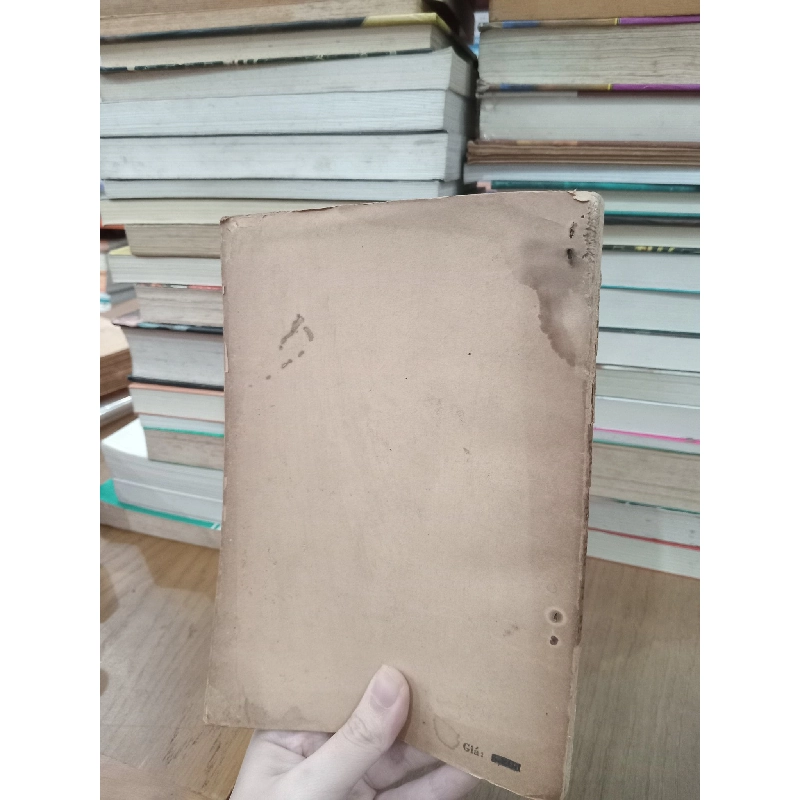 Ấn Độ qua các thời đại - Nguyễn Thừa Hỷ 525612