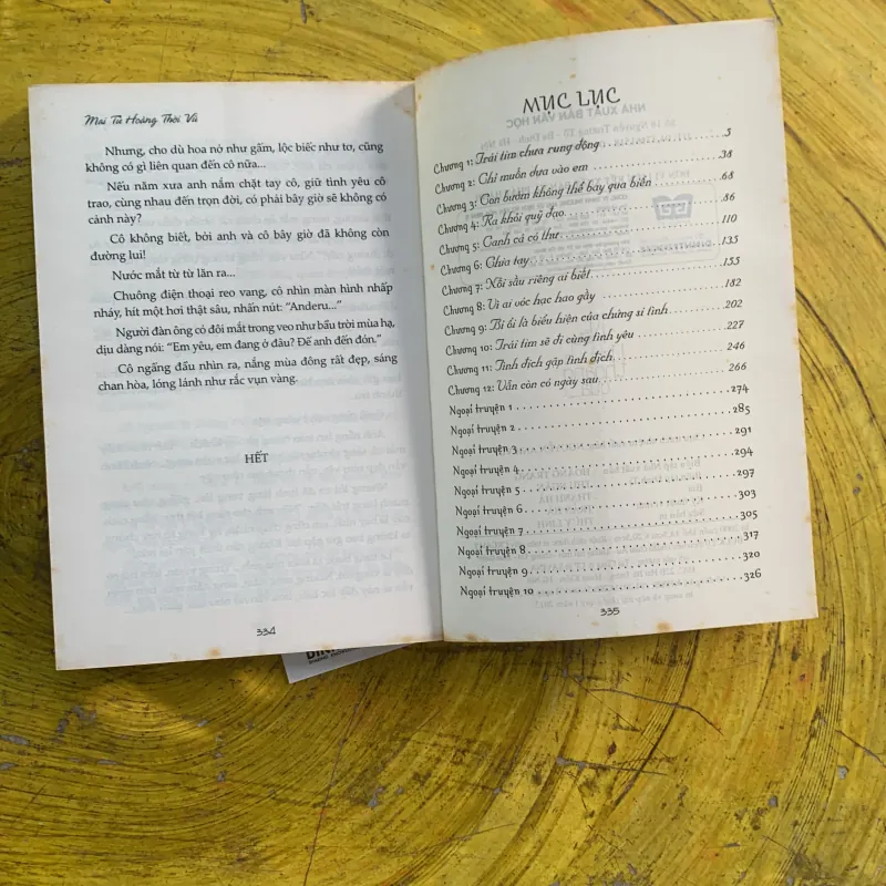 NẾU CHỈ LÀ THOÁNG QUA - MAI TỬ HOÀNG THỜI VŨ 991251