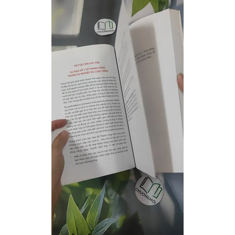 Thông Minh Cảm Xúc - Travis Bradberry & Jean Greaves 1018949