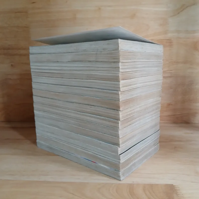 Truyện Tranh Golden Age (Bộ 15 Tập) - Samukawa Kazuyuki 674427